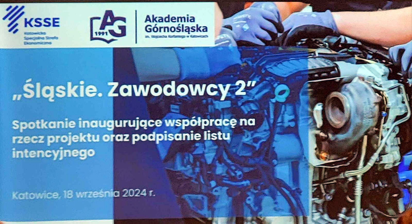 zawodowcy